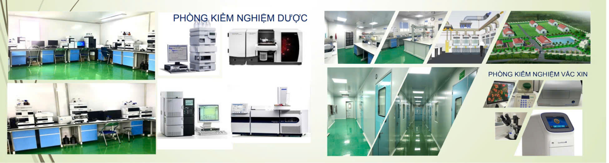 Trung tâm Kiểm nghiệm thuốc thú y TWI có 2 phòng chuyên môn chính là phòng Dược Thú y và phòng Vắc xin thú y